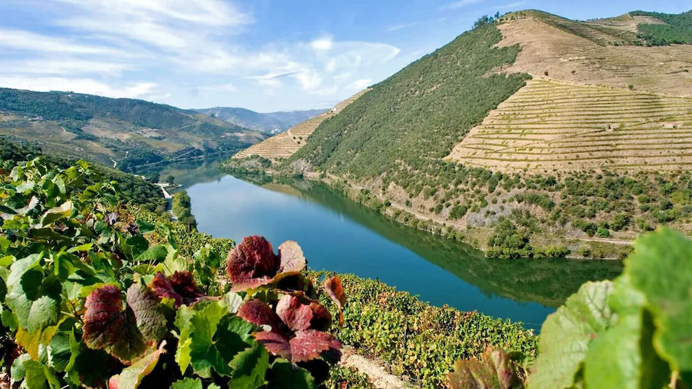 LLV Portugal Xperience 2025 Douro River Winery TSC-Cruises Lifestyle Swinger Cruise